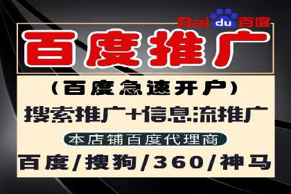 百度竞价包年推广效果：行业领先企业的成功之道